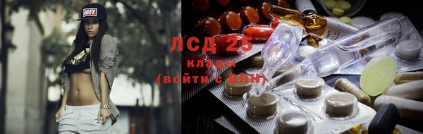 гидра Бородино