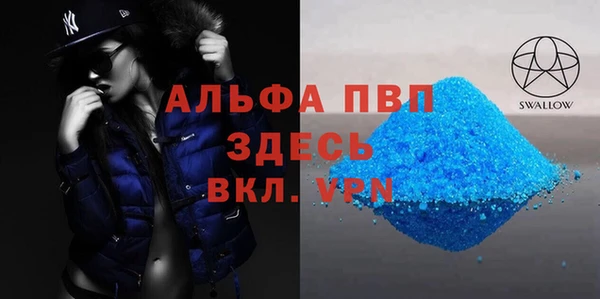 гидра Бородино