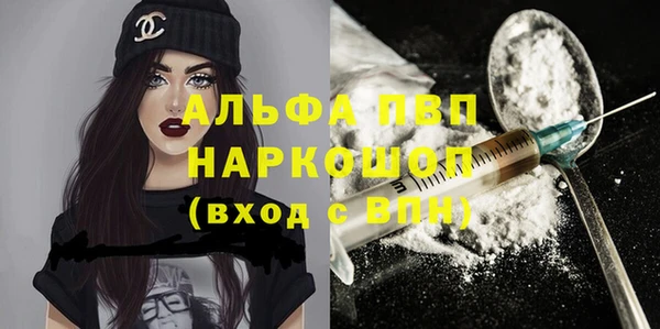 гидра Бородино